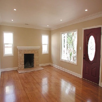 Finished living room with hardwood floors, fireplace, and recessed lighting.