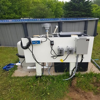 Pool pump and filter system with outdoor electrical setup.